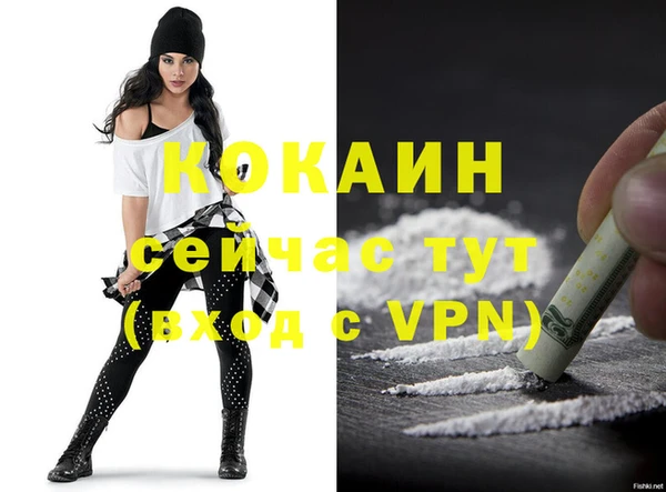 спиды Верея