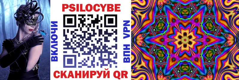 Псилоцибиновые грибы прущие грибы  Цоци-Юрт 